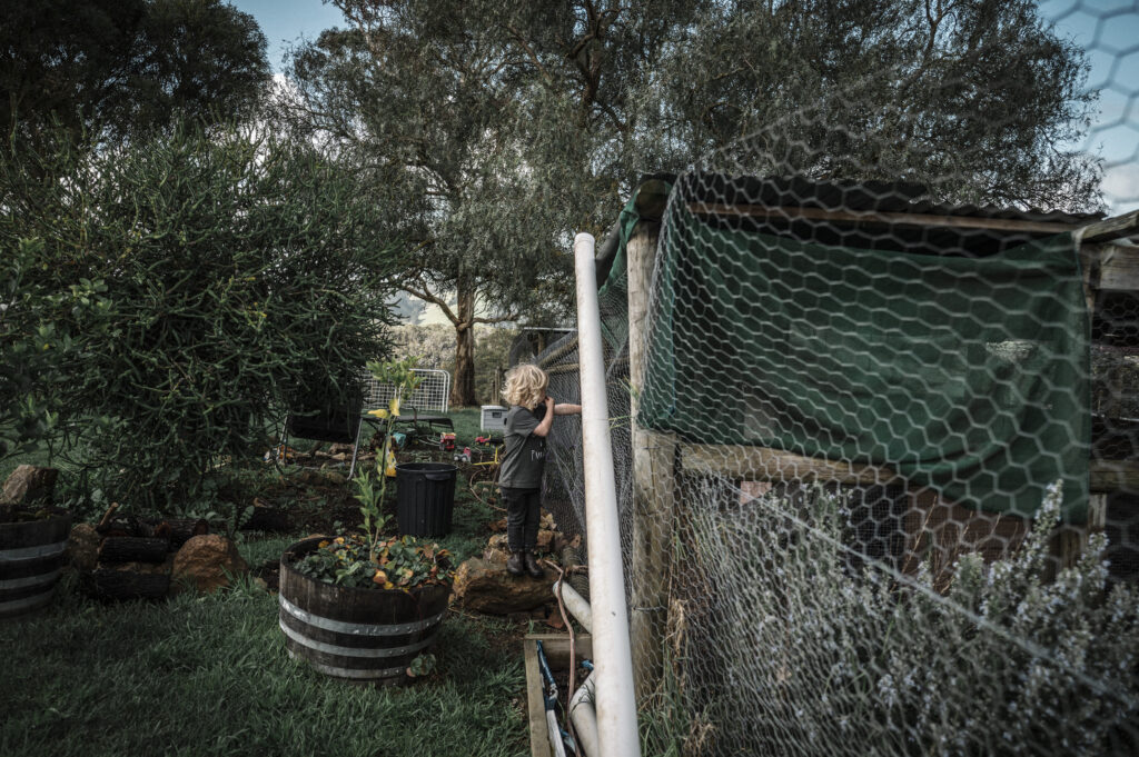 Young boy standing outside a fenced chicken coop