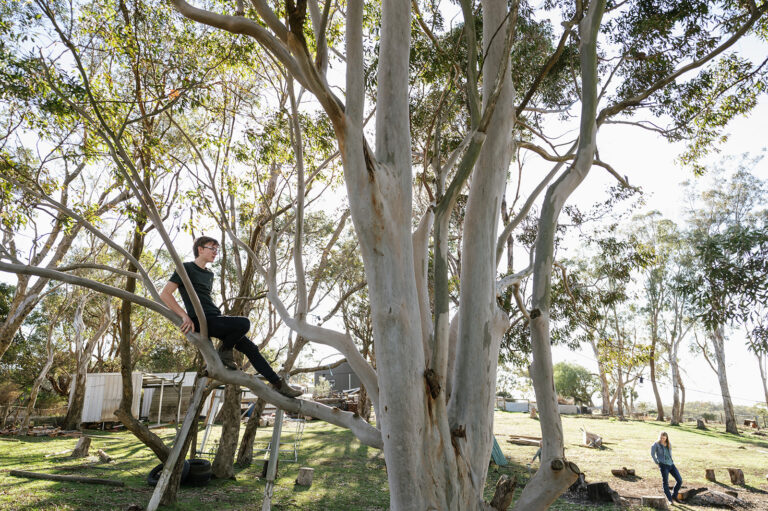 Boy sitting in a tree